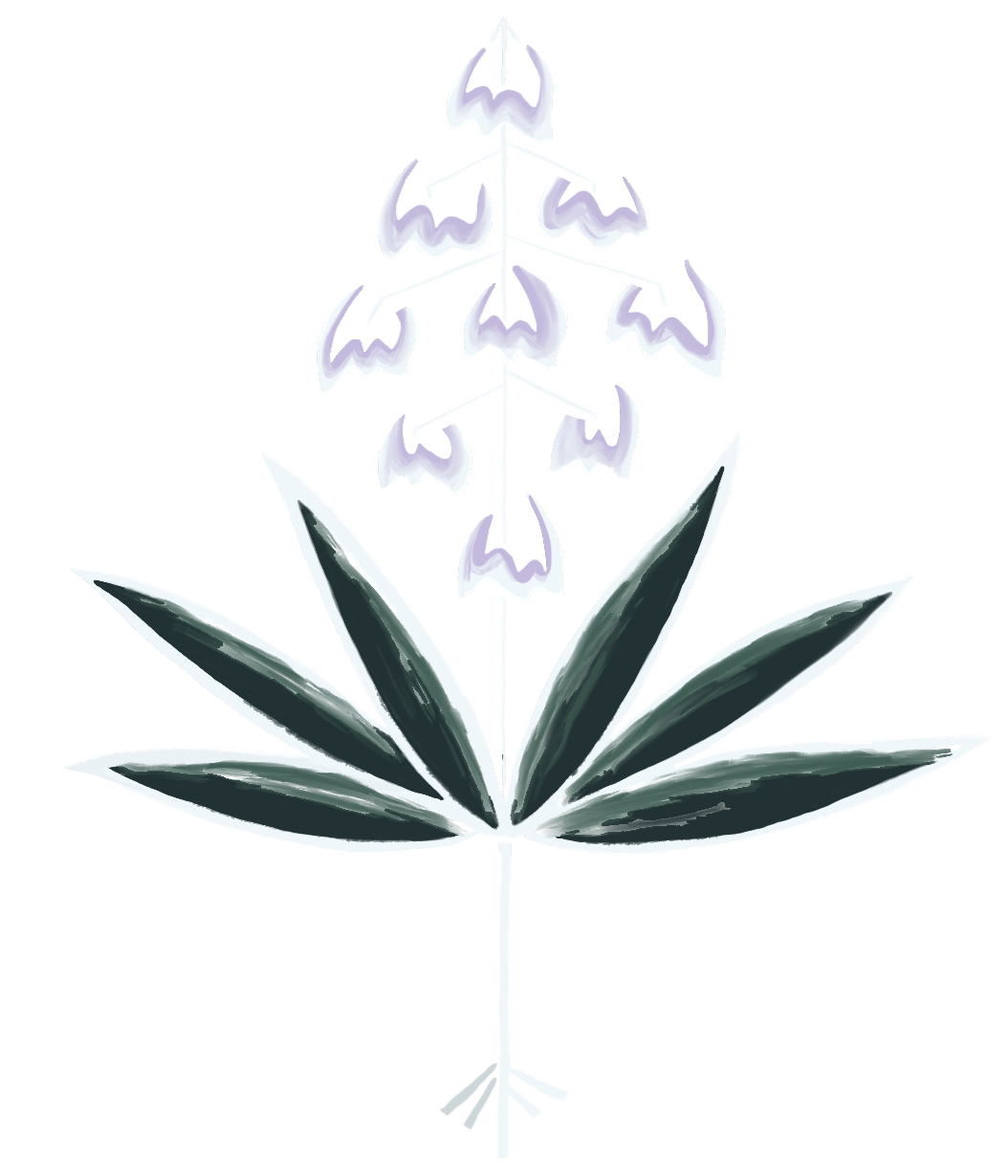 eco-conscious events and food experiences