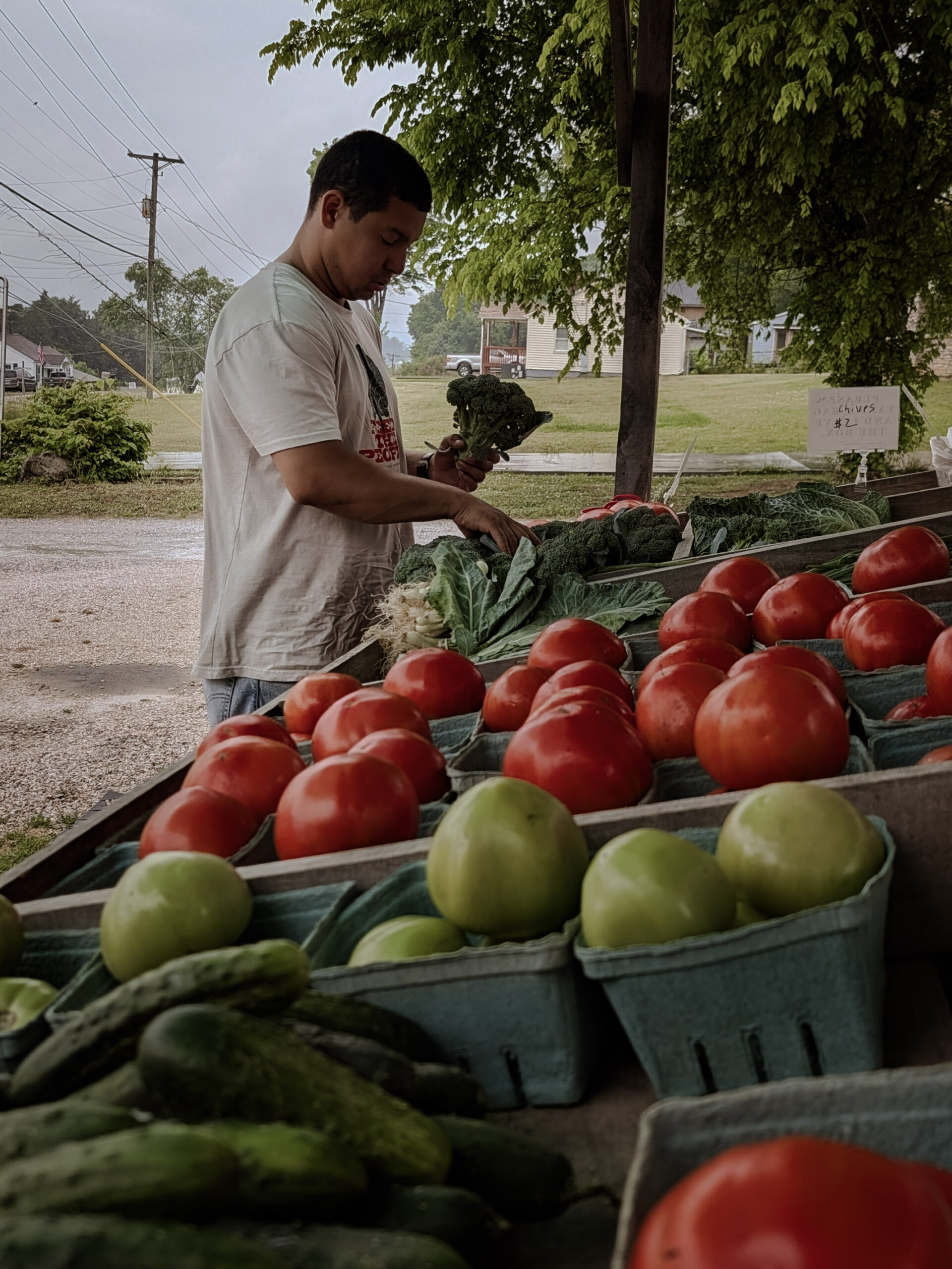 Chef Sal picking out local tomatoes from a local farm stand