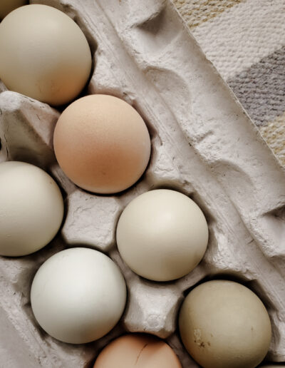 A dozen pastel-colored pasture raised eggs